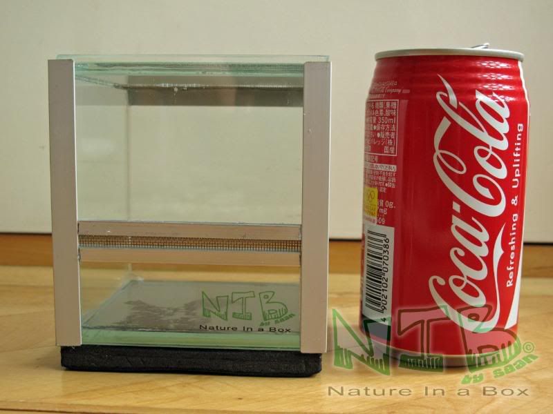 Convert a glass aquarium to a European style terrarium Dendroboard